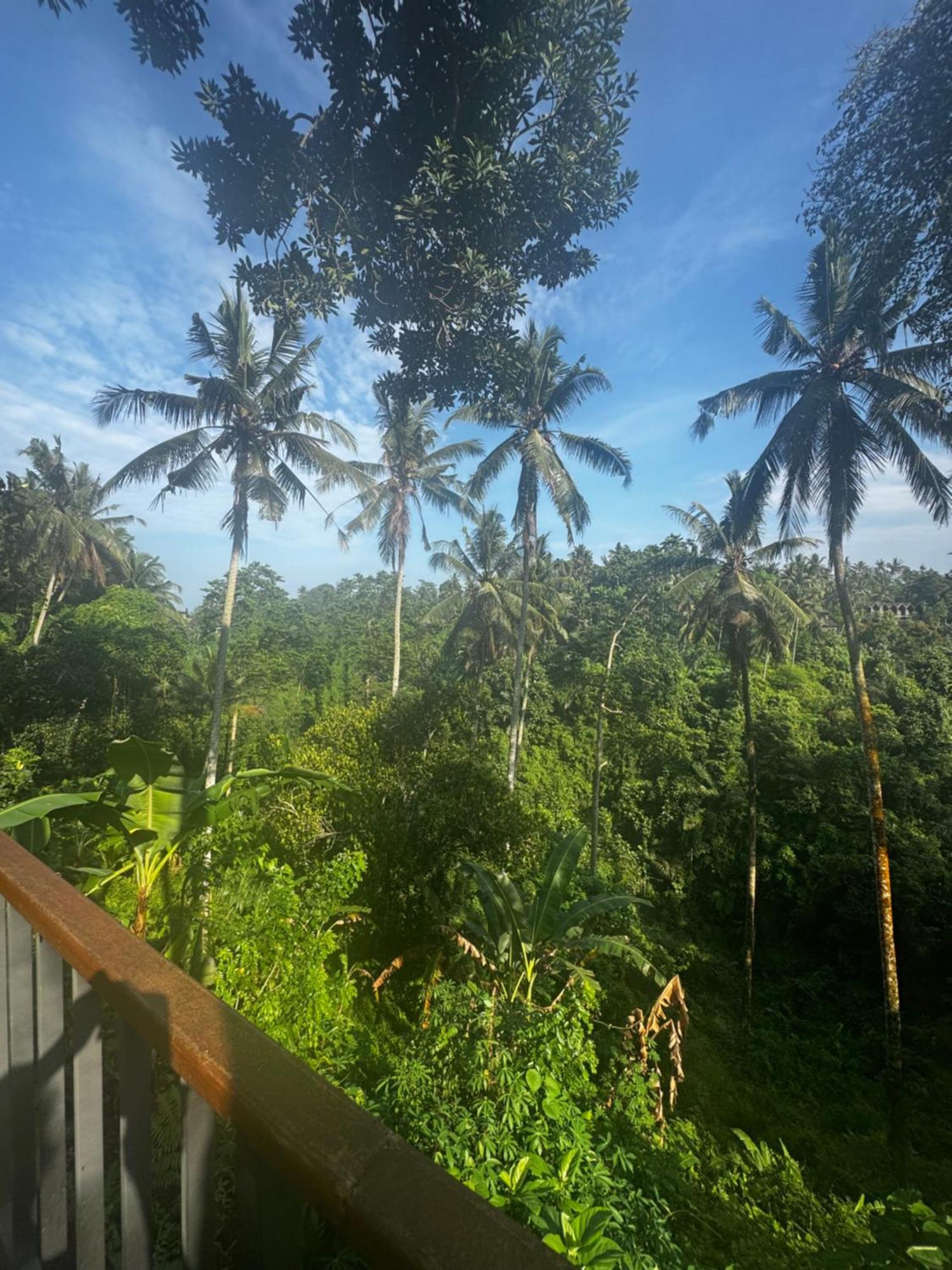 Uma-ijo Ubud (Bali)
