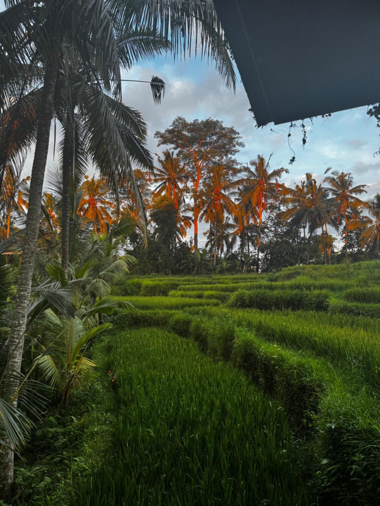 Uma-ijo Villa